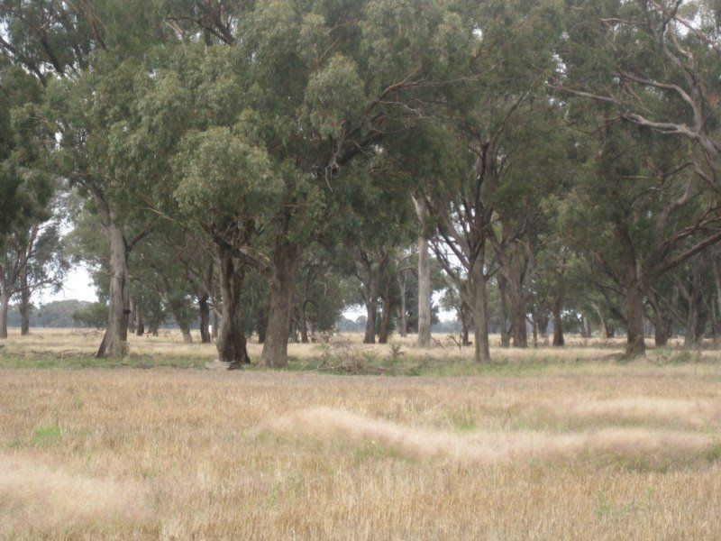 * Cain Road, Devenish VIC 3726