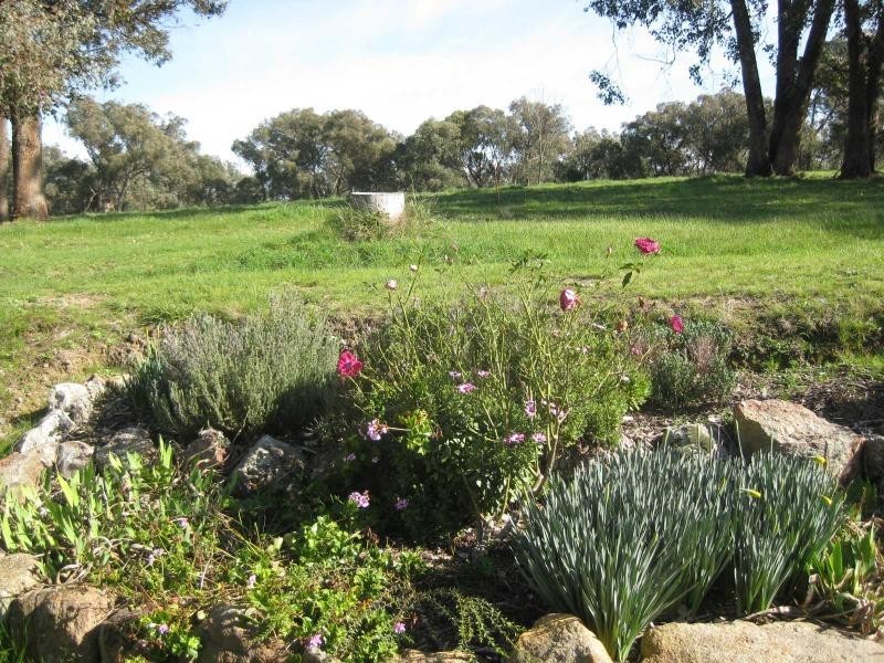 359 Tiger Hill Road, Tatong VIC 3673