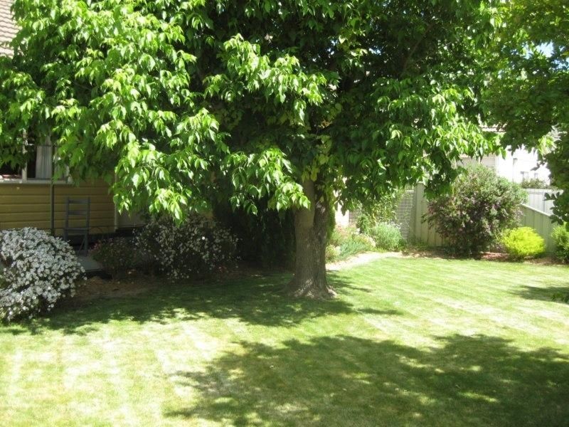 43 Cecil Street, Benalla VIC 3672