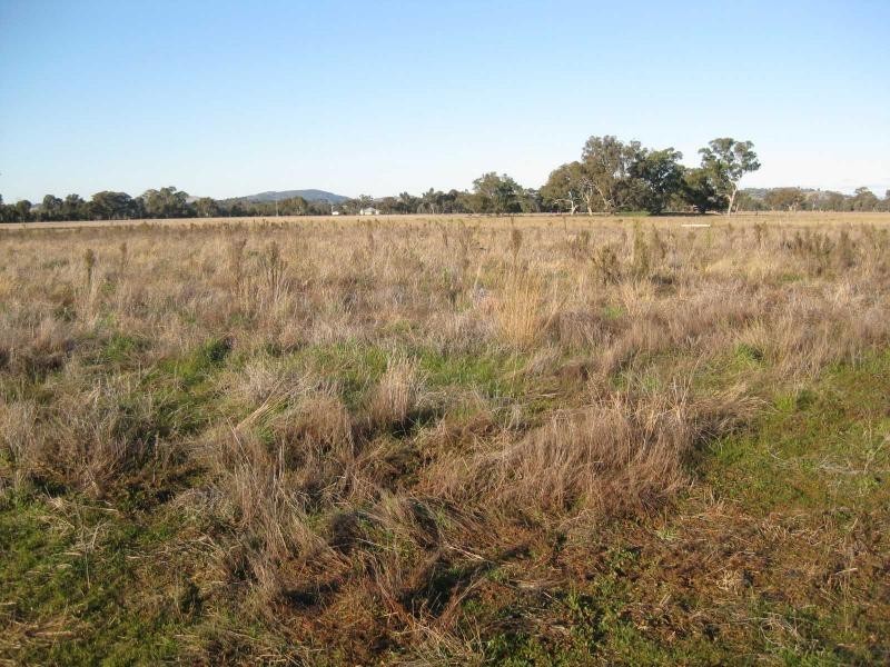 433 Kilfeera Road, Benalla VIC 3672