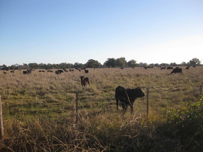 433 Kilfeera Road, Benalla VIC 3672