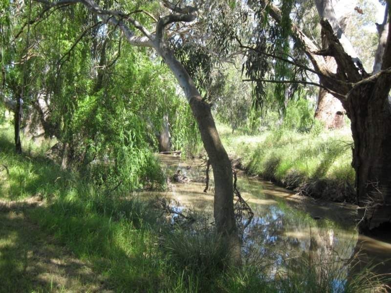 1542 Dookie Devenish Road, Devenish VIC 3726