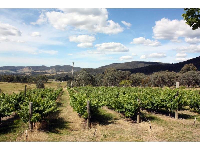 156 Mt Joy Road, Tatong VIC 3673