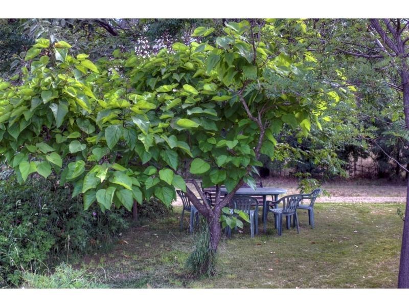 156 Mt Joy Road, Tatong VIC 3673