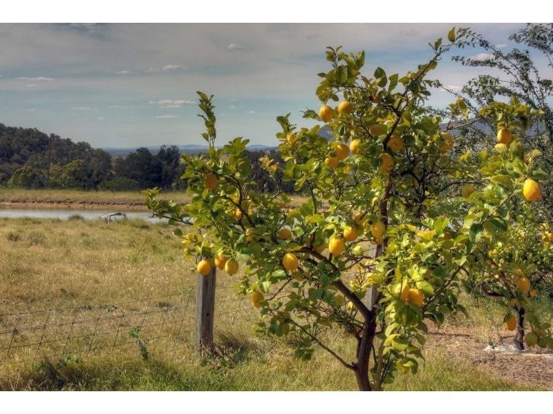 156 Mt Joy Road, Tatong VIC 3673