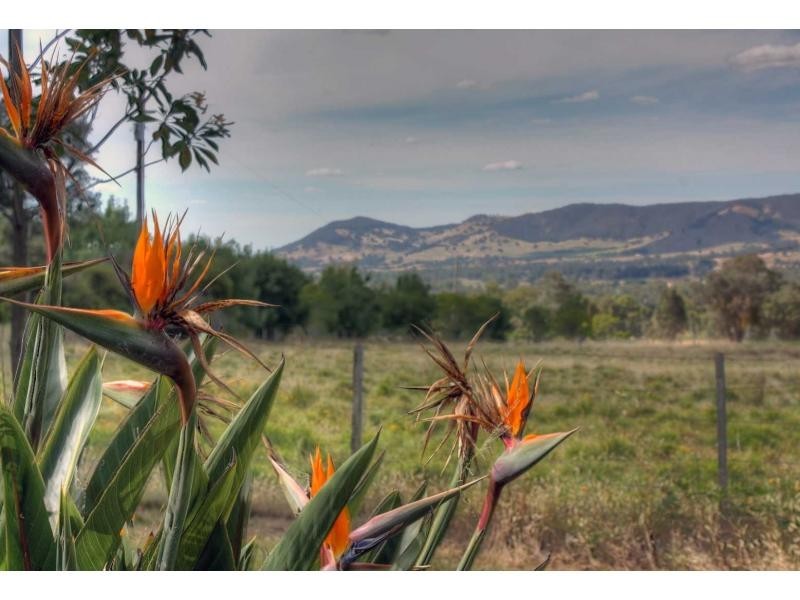 156 Mt Joy Road, Tatong VIC 3673