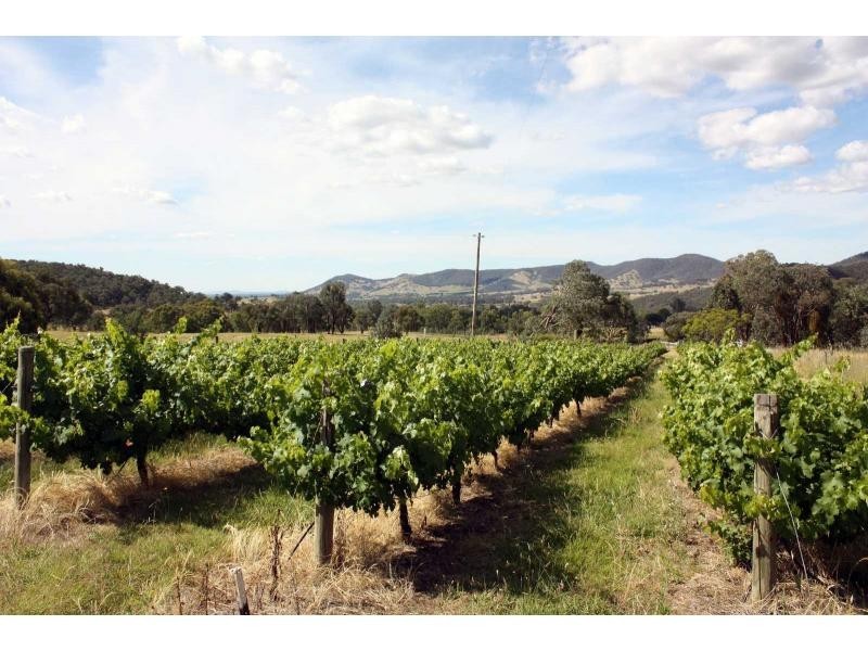 156 Mt Joy Road, Tatong VIC 3673