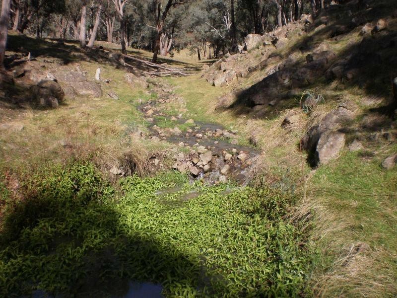 156 Mt Joy Road, Tatong VIC 3673