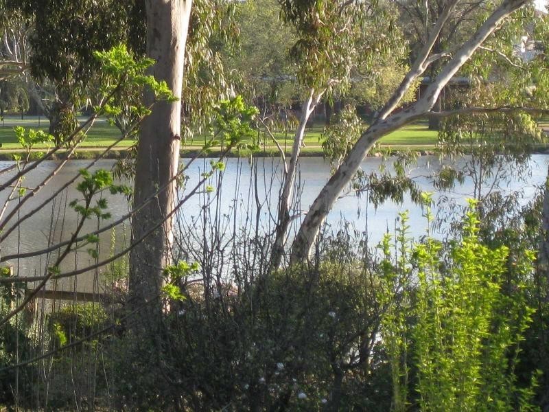 8A Mitchell Street, Benalla VIC 3672