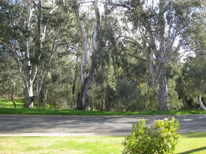 24 Parkview Parade, Benalla VIC 3672