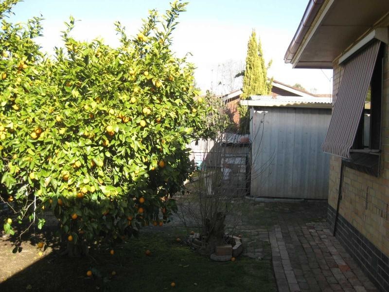 24 Parkview Parade, Benalla VIC 3672