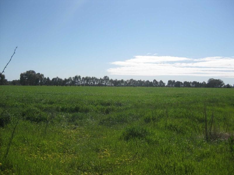 341 Berger Road, Devenish VIC 3726