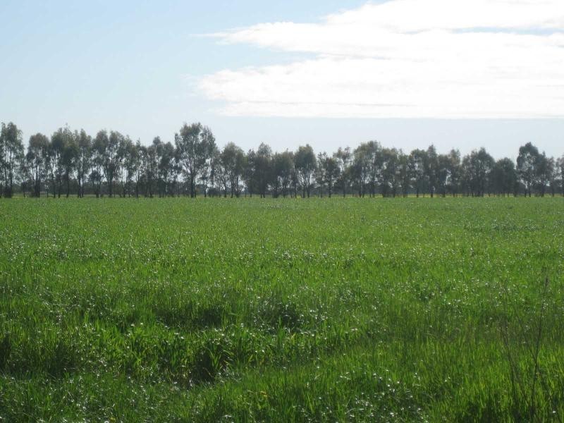 341 Berger Road, Devenish VIC 3726