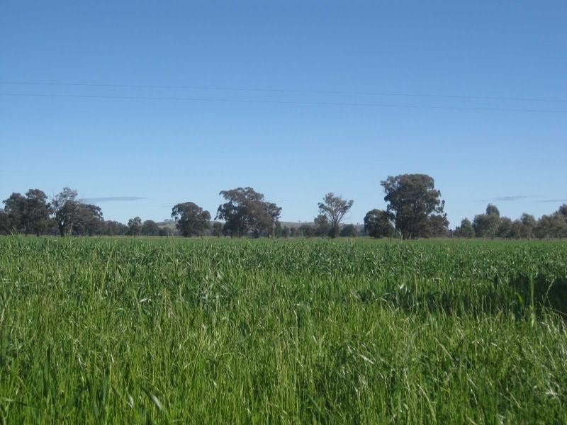 341 Berger Road, Devenish VIC 3726