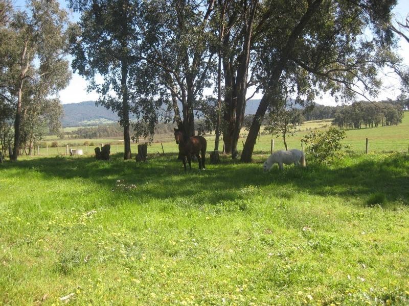 135 Tully Road, Lima East VIC 3673