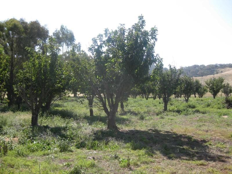 346 Goudie Road, Chesney Vale VIC 3725