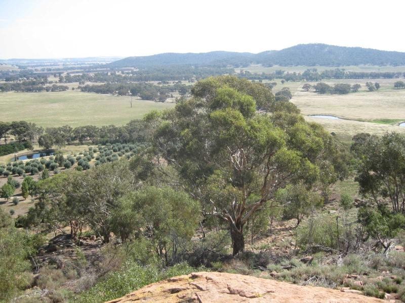 346 Goudie Road, Chesney Vale VIC 3725