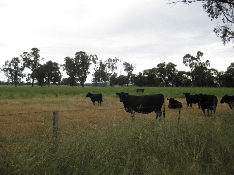 686 Webb Road, Goomalibee VIC 3673