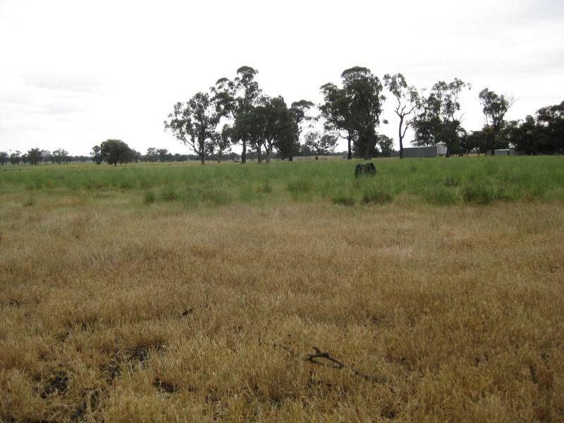 686 Webb Road, Goomalibee VIC 3673