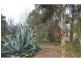 871 Lake Mokoan Road, Chesney Vale VIC 3725