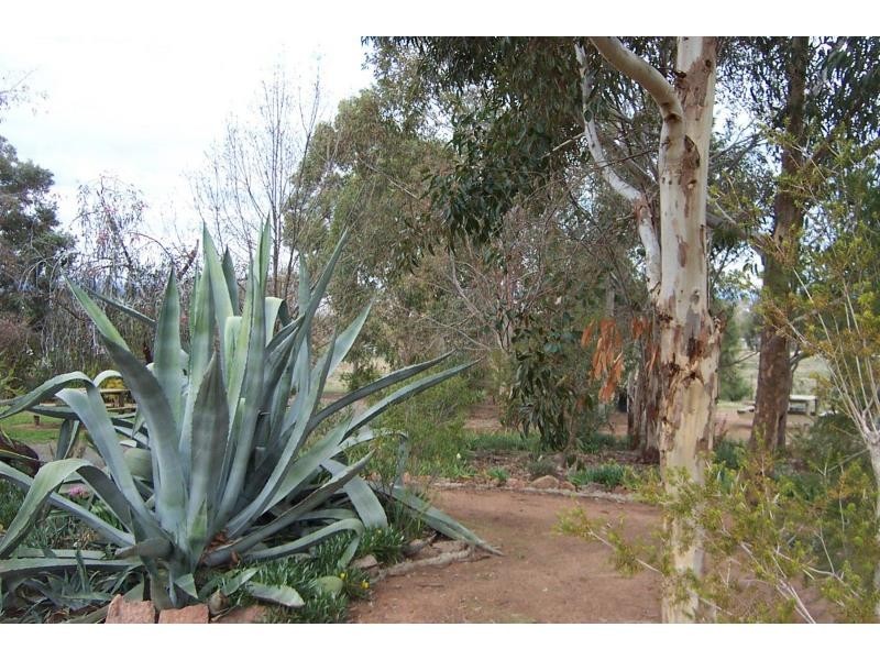 871 Lake Mokoan Road, Chesney Vale VIC 3725