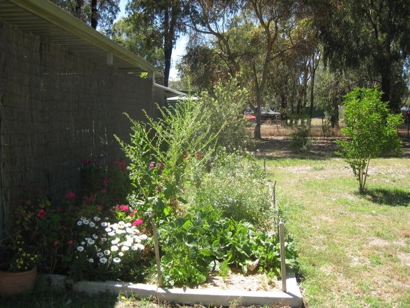22 Mitchell Street, Violet Town VIC 3669