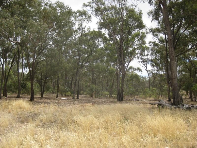 449 Kelleher Road, Tarnook VIC 3670