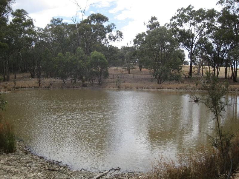 449 Kelleher Road, Tarnook VIC 3670