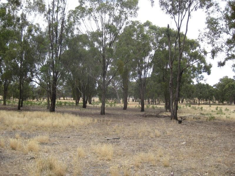 449 Kelleher Road, Tarnook VIC 3670