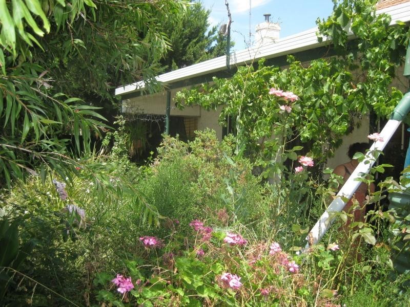 51 Wedge Street, Benalla VIC 3672