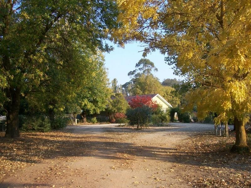 118 Molyullah Road, Molyullah VIC 3673