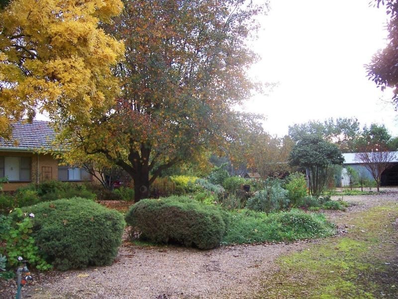 118 Molyullah Road, Molyullah VIC 3673