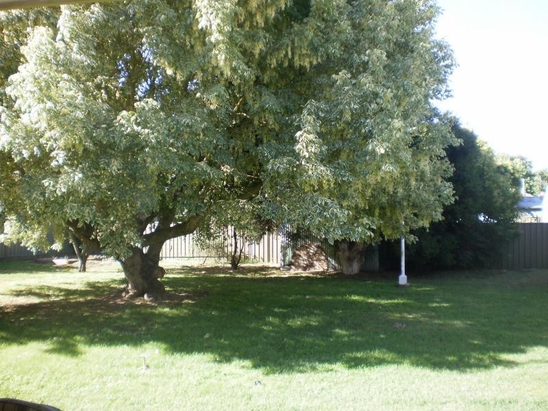 19 Hair Crescent, Benalla VIC 3672