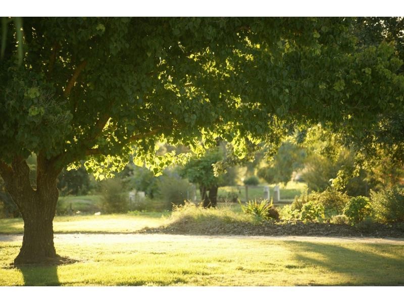 1/85 Willis Little Drive, Benalla VIC 3672