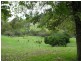 224 Harrison Road, Warrenbayne VIC 3670