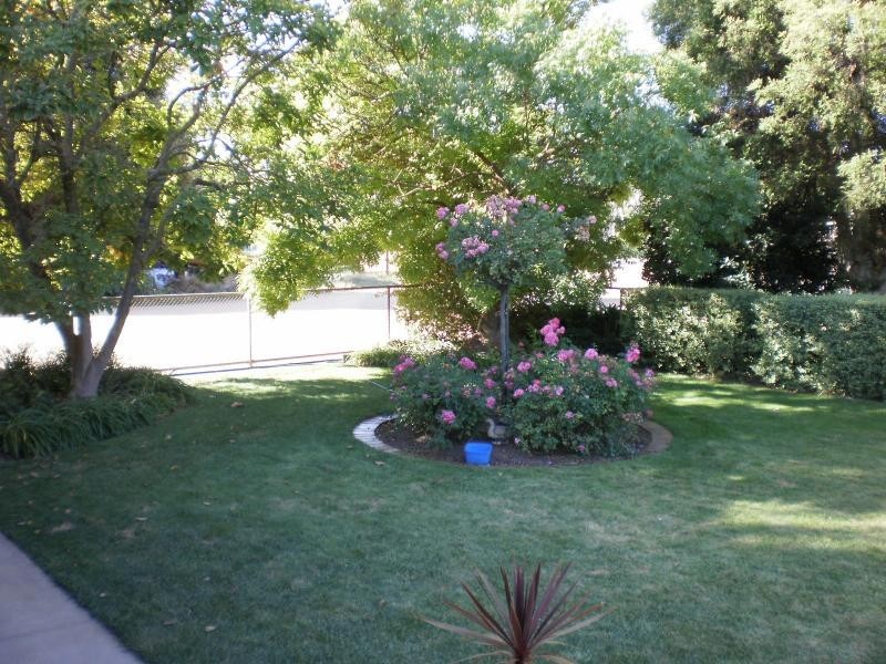 362 Quinn Road, Broken Creek VIC 3673