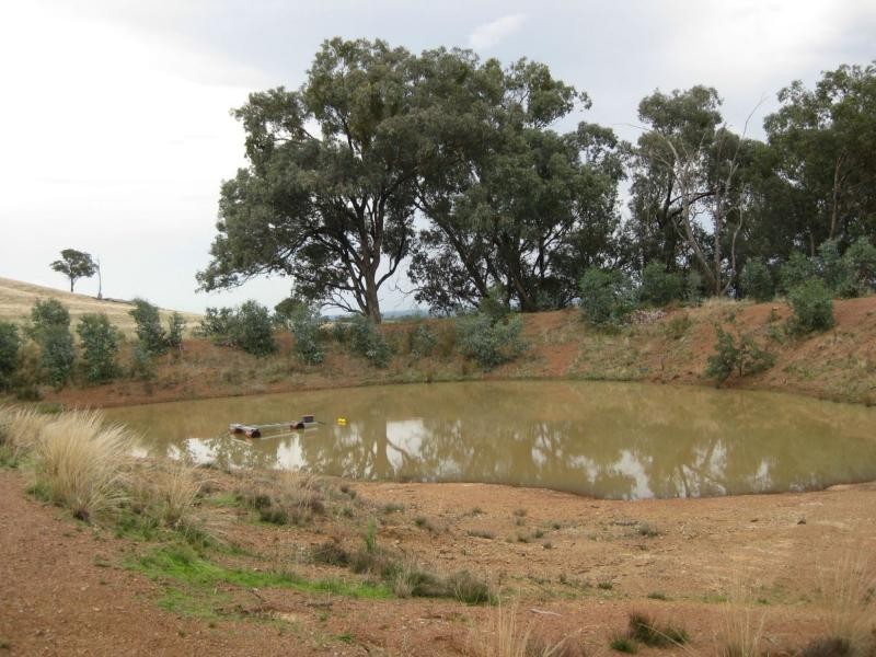 92 Steep Lane, Glenrowan West VIC 3675