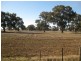 824 St James Road, St James VIC 3727