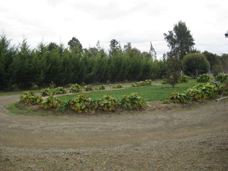 37 Olivers Road, Benalla VIC 3672