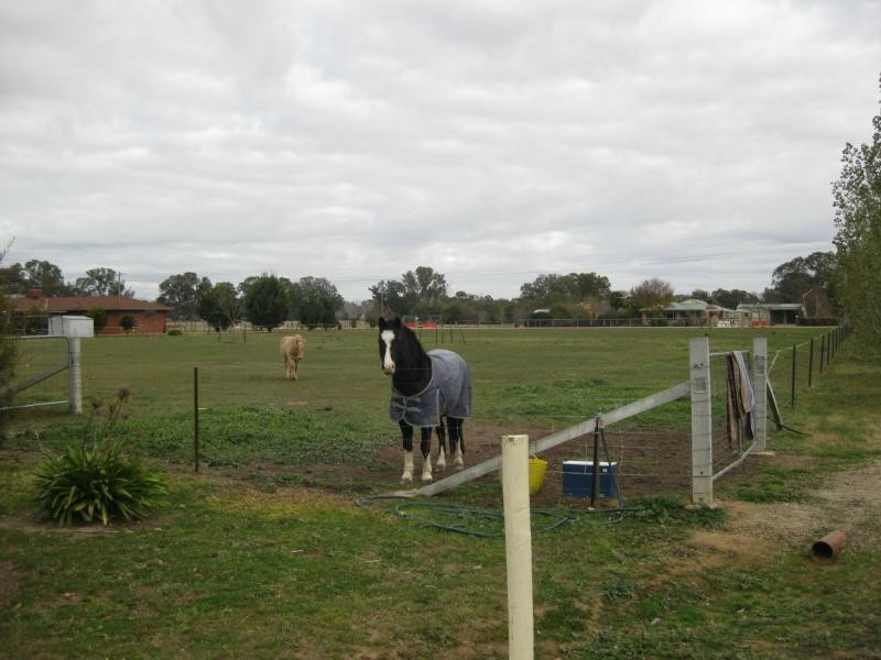 37 Olivers Road, Benalla VIC 3672