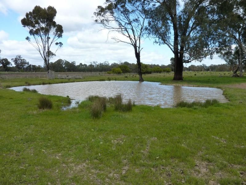 50 Cemetery Road, Benalla VIC 3672