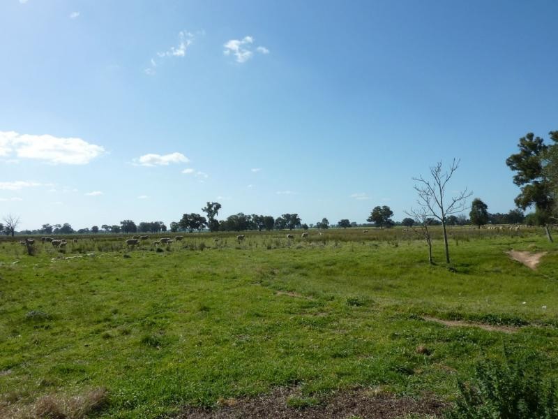 L1 Boxwood Road, Devenish VIC 3726