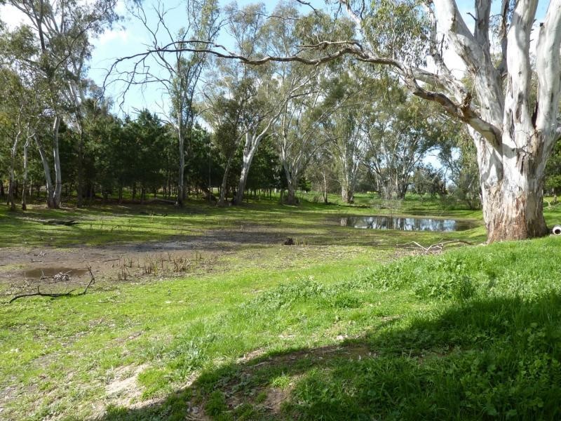 976 Boxwood Road, Devenish VIC 3726