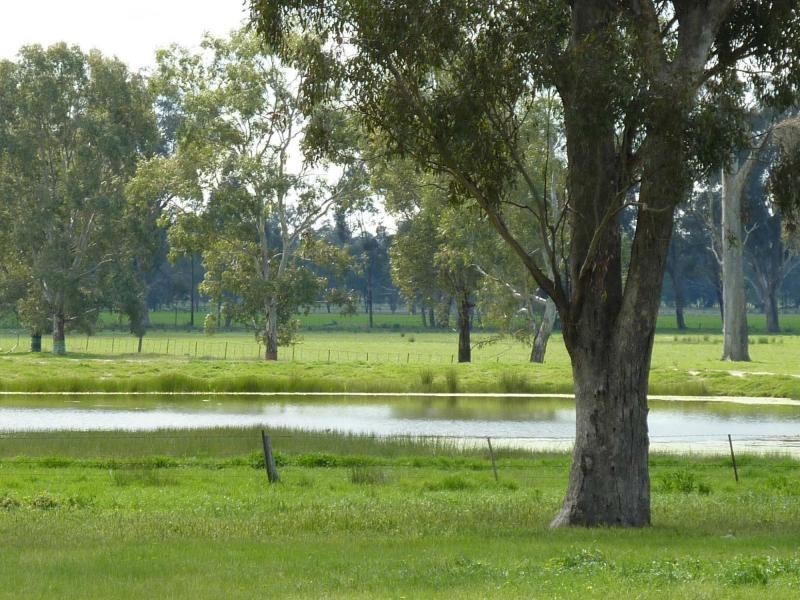 1994 Dookie Violet Town Road, Koonda VIC 3669