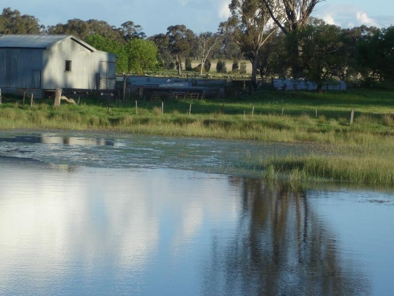 1994 Dookie Violet Town Road, Koonda VIC 3669