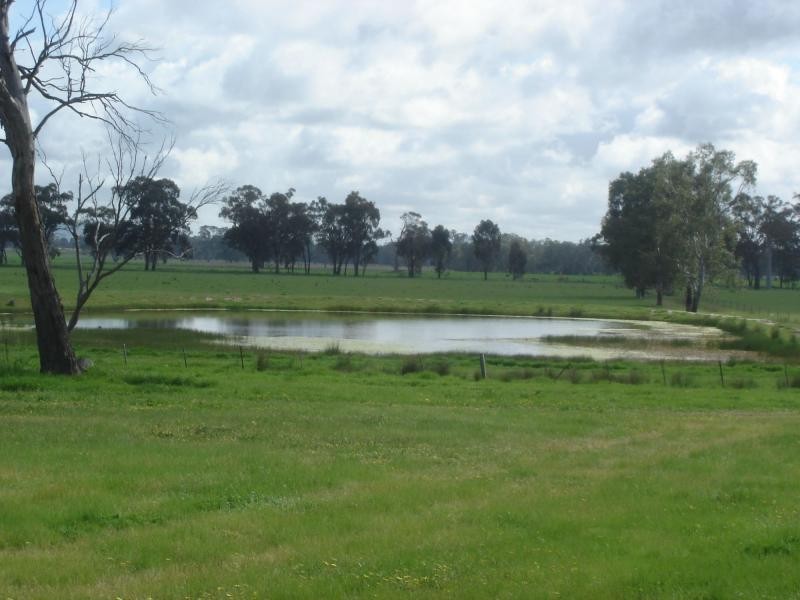 1994 Dookie Violet Town Road, Koonda VIC 3669