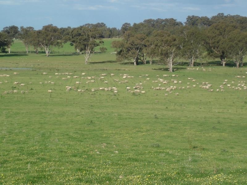 1994 Dookie Violet Town Road, Koonda VIC 3669