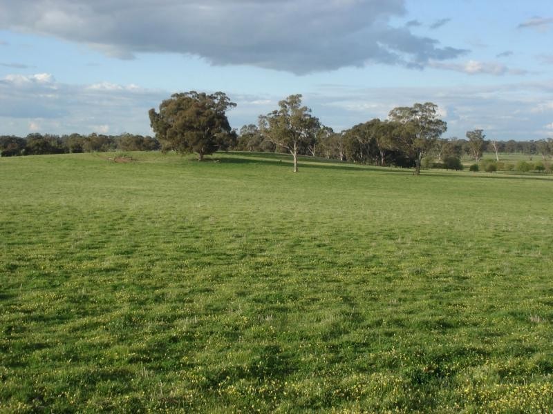 1994 Dookie Violet Town Road, Koonda VIC 3669