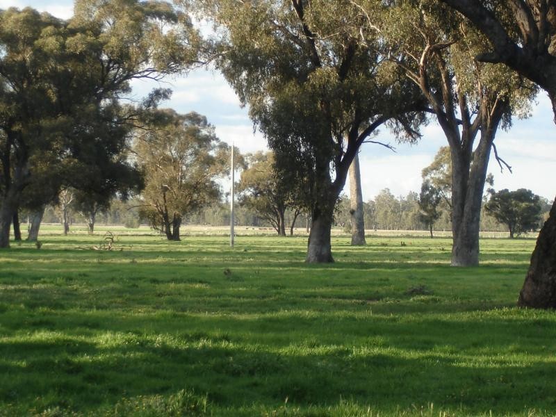 1994 Dookie Violet Town Road, Koonda VIC 3669