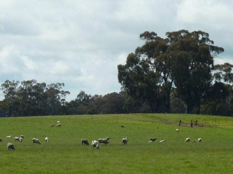 1994 Dookie Violet Town Road, Koonda VIC 3669